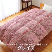 ӤդȤ<br>쥤